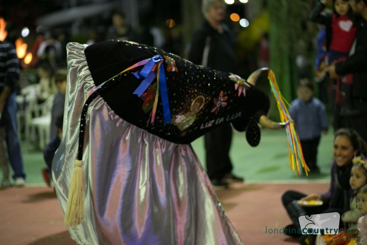IMG_6332 (Copy)